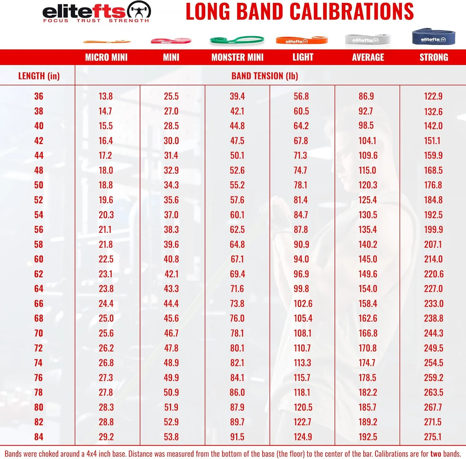 elitefts Pro Light Resistance Band - Image 6